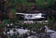 trout fishing trips trout fishing trips