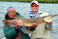 fly in fishing fly in fishing